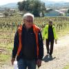 Au pied des Vignes 