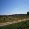 Un parcours le long de grands Vignobles Varois