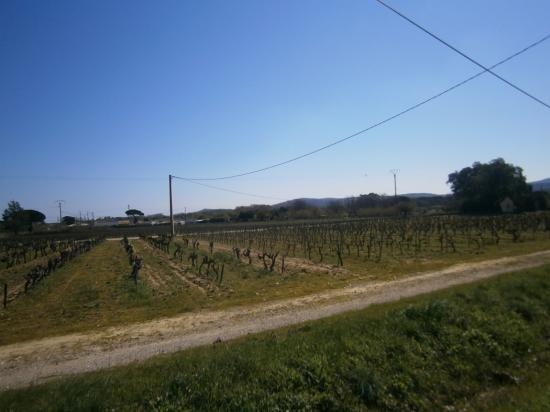 Un parcours le long de grands Vignobles Varois