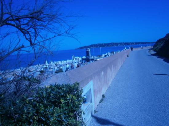 Cimetière de St Tropez